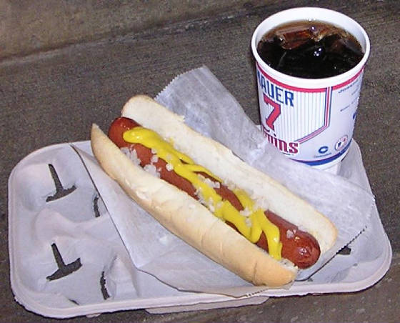 Dome Dog and a Soda - The Metrodome